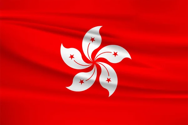 香港国旗矢量图标 在风中飘扬的香港国旗 — 图库矢量图片
