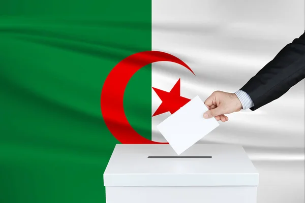 Wahl Algerien Die Hand Eines Mannes Der Seine Stimme Die — Stockfoto