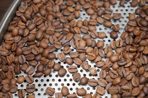Coffee beans inside coffee maker