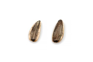 Beyaz arkaplanda izole edilmiş organik ayçiçeği tohumları