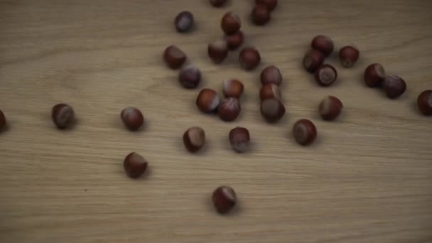 有機ヘーゼルナッツの木の背景に落ちる スローモーション — ストック動画