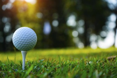 Bulanık golf sopası ve golf topu güneşli çimlere yakın.
