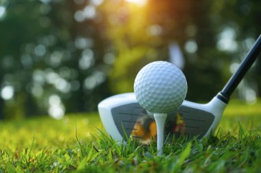 Bulanık golf sopası ve golf topu güneşli çimlere yakın.