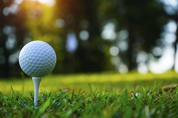 Club de golf borrosa y pelota de golf de cerca en el campo de hierba con sol —  Fotos de Stock