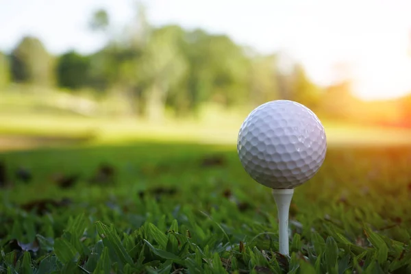 Pelota de golf en tee en hermoso campo de golf al atardecer fondo. —  Fotos de Stock