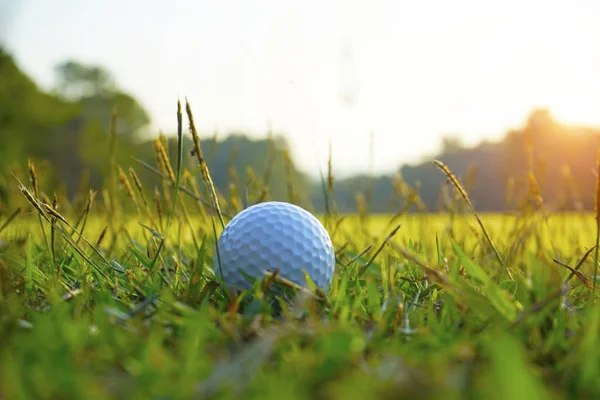 М'яч для гольфу на зеленому в красивому полі для гольфу на фоні заходу сонця — стокове фото