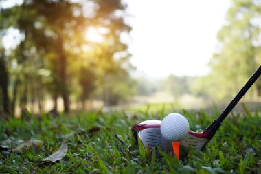 Baraj ya da nehirdeki kurak kuraklık yüzünden toprak çatlamış, sıcak yaz doğası, tepedeki ve mavi gökyüzündeki ölü ağaç, yüzeydeki kil toprağı sert çatlak dokusu, çöl parçalanmış sıcak çamur zemini.