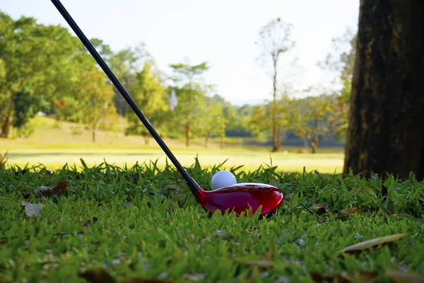 Golfový míček a golfový klub v krásném golfovém hřišti v Thajsku. Co — Stock fotografie