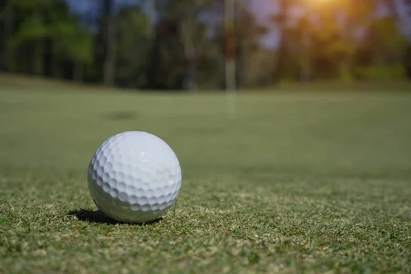 М'яч для гольфу на зеленій траві в красивому полі для гольфу — стокове фото