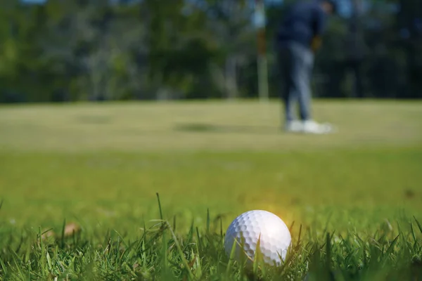 Bola de golfe em grama verde em campo de golfe bonito — Fotografia de Stock