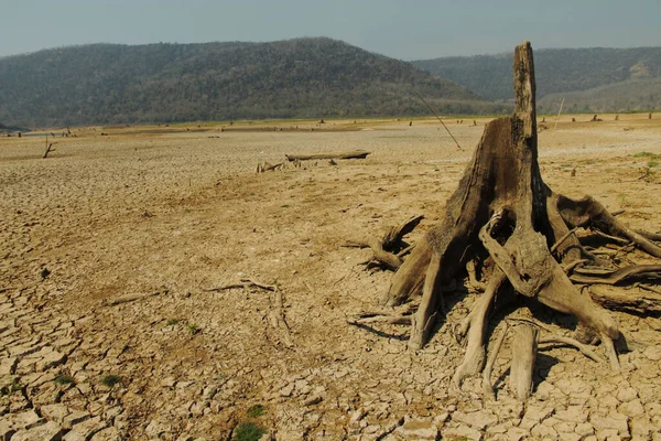 Terremoto Tierra Sequía Árida Tiempo Presa Río Naturaleza Verano Caliente — Foto de Stock