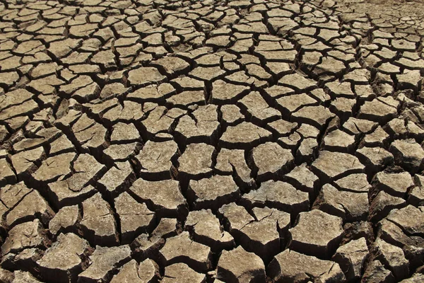 Terra Screpolata Tempo Arido Siccità Diga Fiume Calda Natura Estiva — Foto Stock