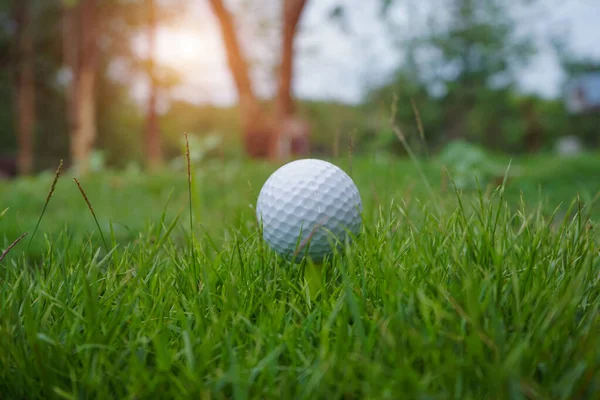 Golfbal Groen Gras Golfbal Tee Avond Golfbaan Met Zonnige Achtergrond — Stockfoto