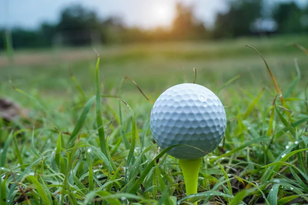 緑の草の上のゴルフボール 夕方のゴルフコースでティー上のゴルフボール太陽の背景と — ストック写真