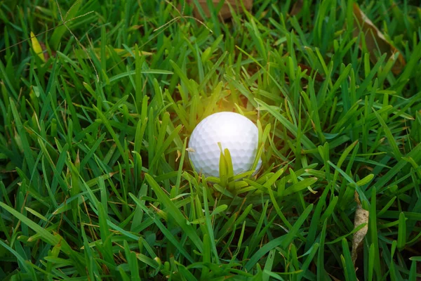 Piłka Golfowa Zielono Ciepłym Tonem Zachodem Słońca Golf Piłka Green — Zdjęcie stockowe