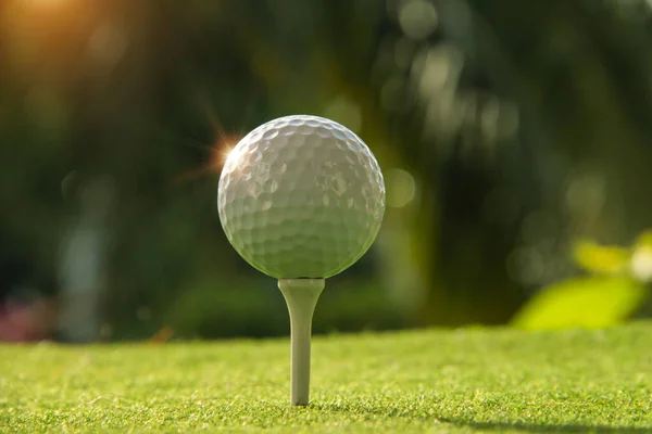 Golfball Tee Kveldstid Golfbane Med Solskinnsbakgrunn – stockfoto