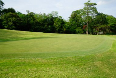 Güneşli bir günde güzel bir golf sahası. Arka plandaki golf sahasında güneş ışığı parlıyor. Kırsaldaki golf sahasında.                                