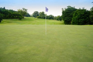 Güneşli bir günde güzel bir golf sahası. Arka plandaki golf sahasında güneş ışığı parlıyor. Kırsaldaki golf sahasında.                                