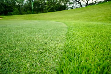 Güneşli bir günde güzel bir golf sahası. Arka plandaki golf sahasında güneş ışığı parlıyor. Kırsaldaki golf sahasında.                                