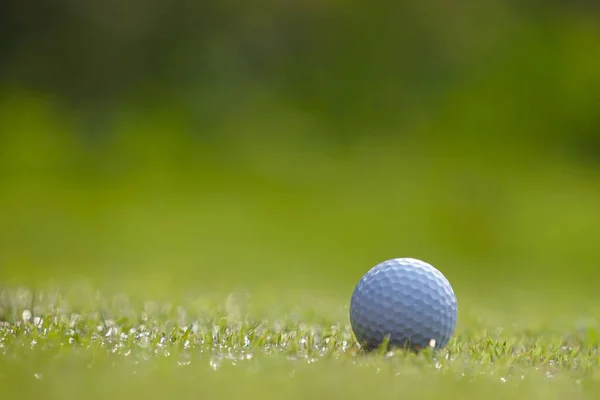 선수의 문제와 장애물 골프공은 잔디에 위치해 있으며 골프의 장애물중 — 스톡 사진