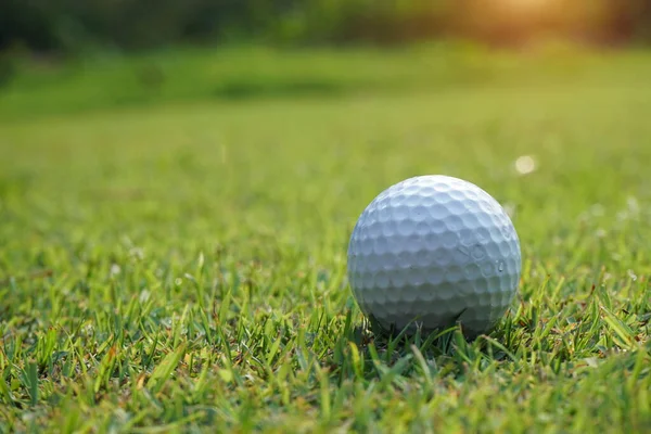 Pelota Golf Green Con Tono Cálido Puesta Sol Pelota Golf —  Fotos de Stock