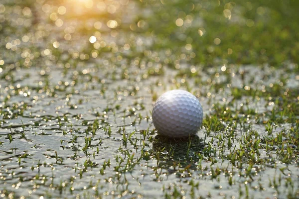 Problemas Obstáculos Golfista Bola Golfe Branco Está Posicionado Uma Grama — Fotografia de Stock