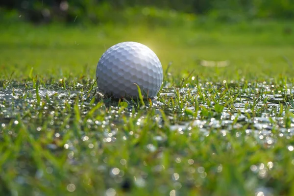 Probleme Und Hindernisse Des Golfers Der Weiße Golfball Befindet Sich — Stockfoto