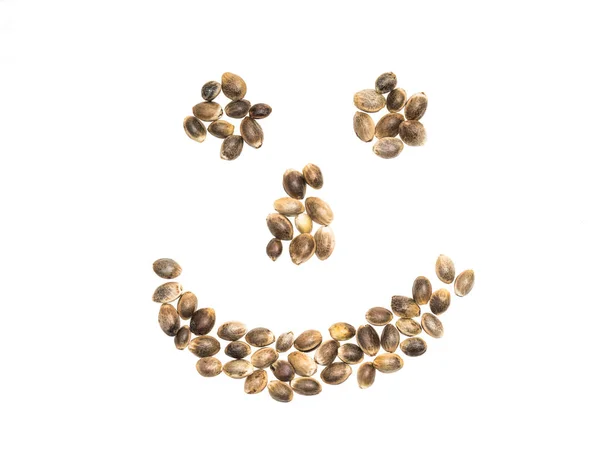 Rosto sorridente de sementes de cânhamo — Fotografia de Stock