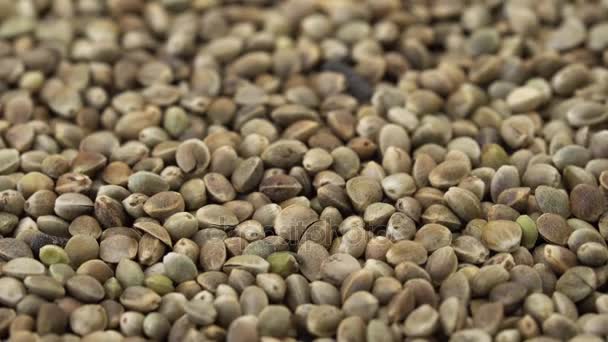 Sementes de semente que giram no sentido horário — Vídeo de Stock