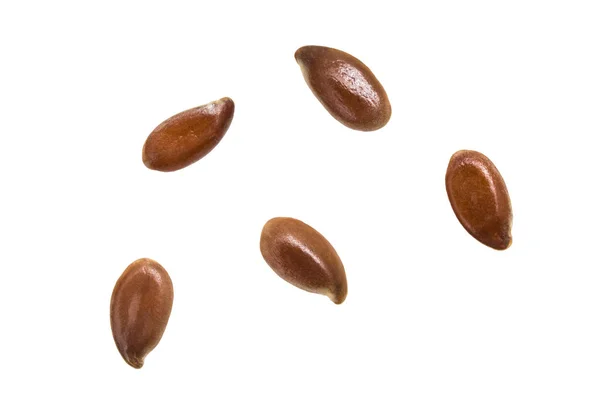 Cinque semi di lino su sfondo bianco — Foto Stock