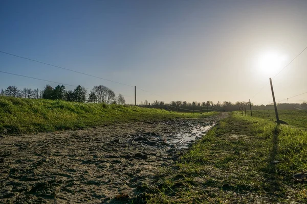 Landscape with lake and blue sky — Stock Photo, Image