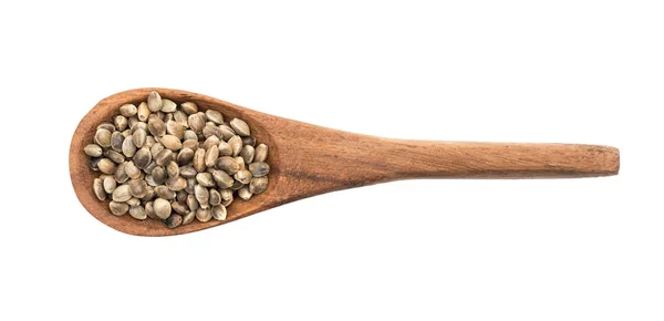 Spoon with hemp seeds — Stock Photo, Image