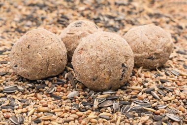 Four bird fat balls on a background of mixed bird seeds seen from low angle clipart