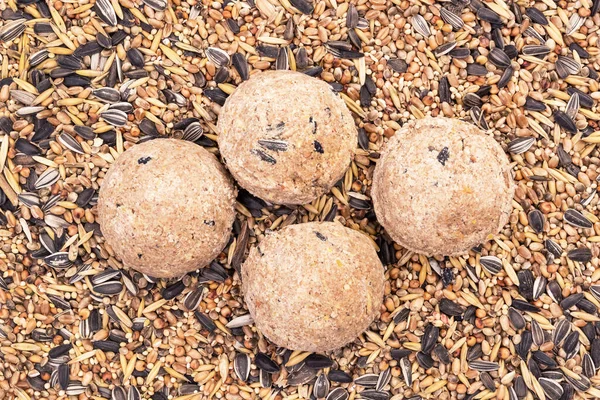 Four bird fat balls on a background of mixed bird seeds seen directly from above