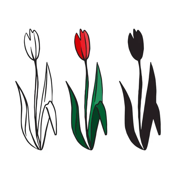 Ręcznie Narysowany Tulipan Wiosenne Kwiaty Sprawa Logo Tulipana Turecki Symbol — Wektor stockowy
