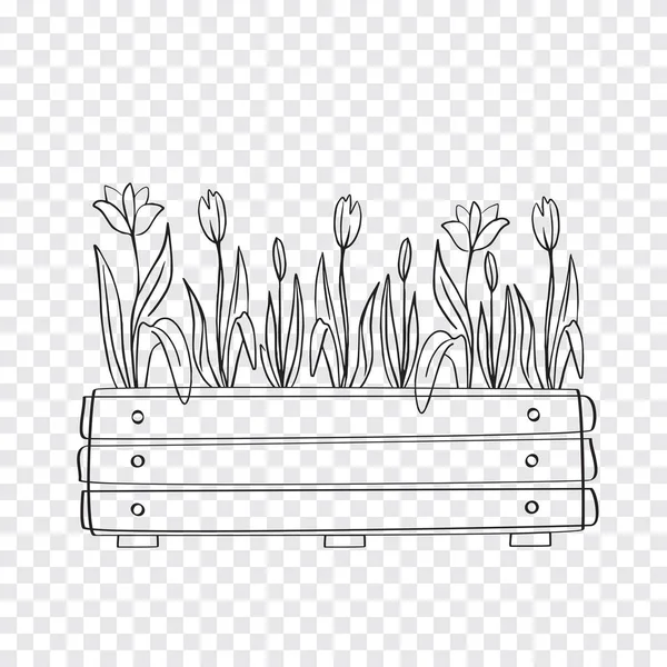 Box with flowers. Hand drawn spring flowers in a wooden box on a transparent background. Spring field work. Golan Tulips Business. Organization of flower beds, landscape design. My hobby.1