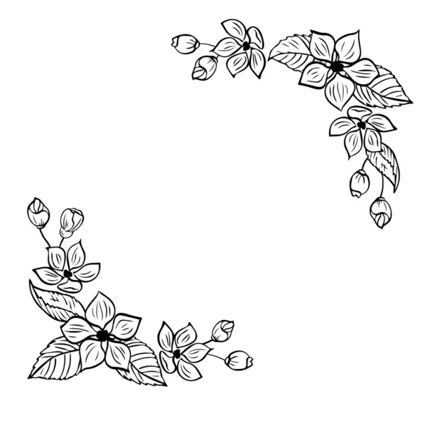 Ručně Kreslený Květinový Rám Pro Nápisy Sakura Jabloně Nebo Třešeň — Stockový vektor