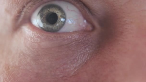 Primer plano de un ojo con una pupila en movimiento — Vídeo de stock