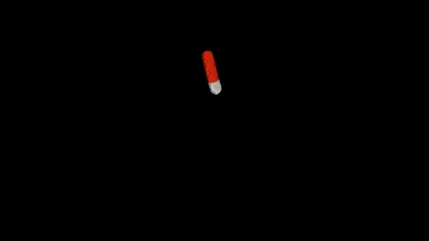 Анимированные Волосатые Буквы Санта Клауса Прыгающие Рамку Трясущие Снежинки Отдельным — стоковое видео