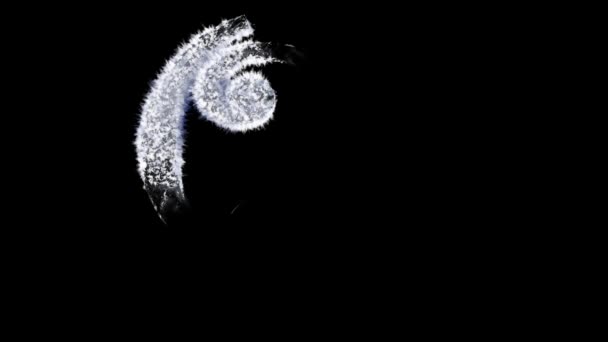 具有独立 通道的动画霜冻冬季字体 — 图库视频影像