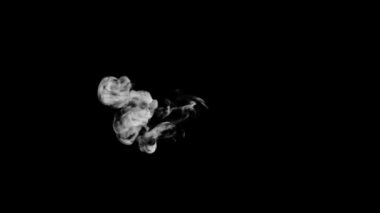 3d canlandırılmış duman tipografisi alfa kanalı yükselerek bir harf oluşturur ve D karakterini yükseltmeye devam eder