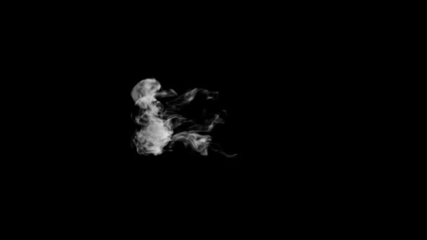 Animated Smoke Typography Curly Font Alpha Channel Rising Forming Letter — 비디오