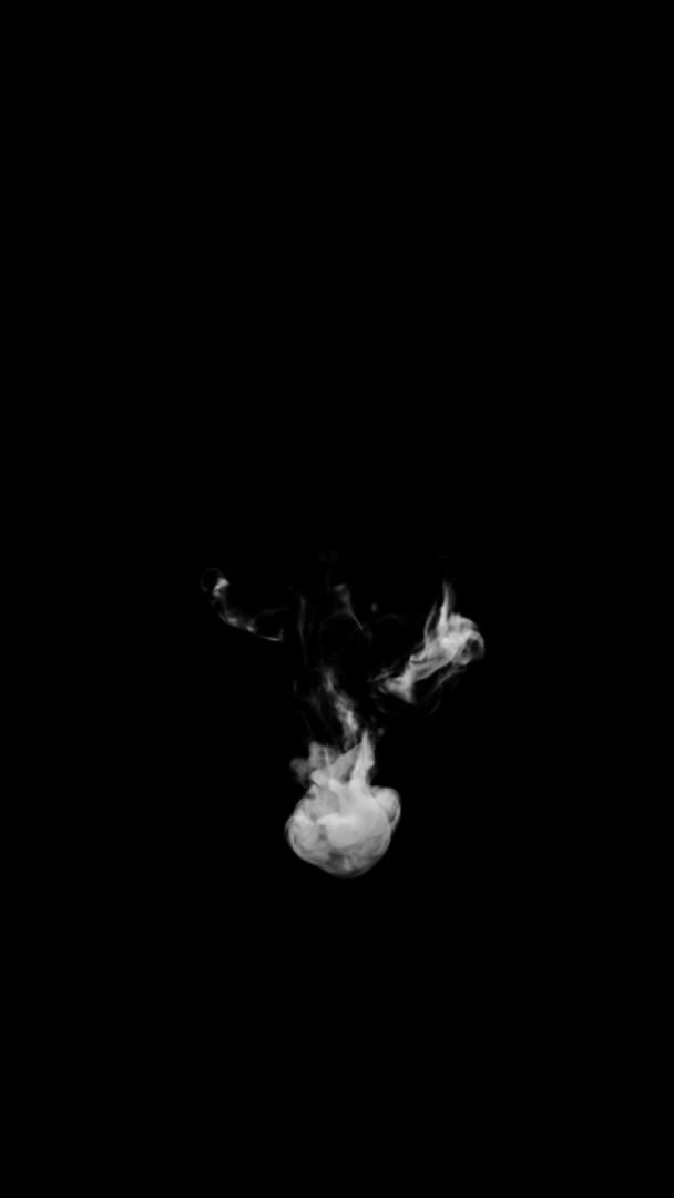 Typographie animée de fumée 3D en police bouclée avec canal alpha montant formant une lettre et continuant à monter le caractère V 