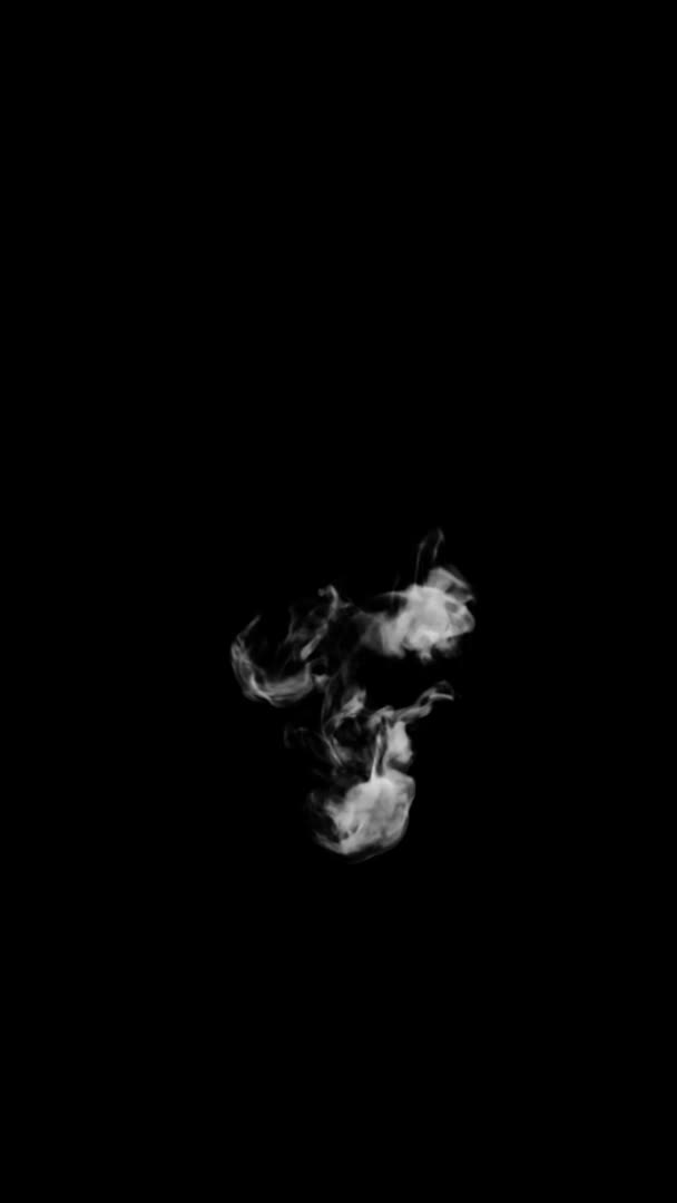 Анимированная Дымовая Типография Кудрявый Шрифт Альфа Канал Растет Образуя Букву — стоковое видео