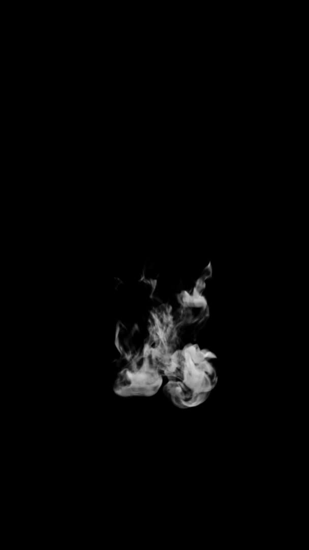 Анимированная Дымовая Типография Кудрявый Шрифт Альфа Канал Растет Образуя Букву — стоковое видео