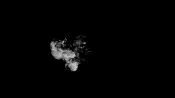 Animated Smoke Typography Σγουρή Γραμματοσειρά Alpha Κανάλι Αυξάνεται Σχηματίζοντας Ένα — Αρχείο Βίντεο