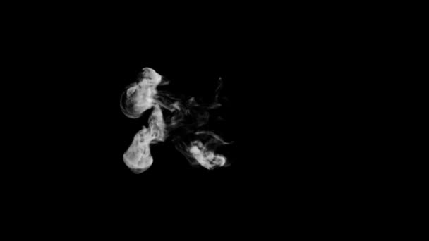 Animated Smoke Typography Curly Font Alpha Channel Rising Forming Letter — Stock Video