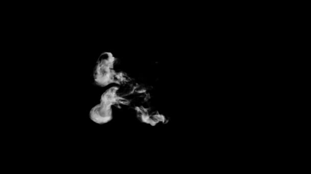 Animated Smoke Typography Curly Font Alpha Channel Rising Forming Letter — Stock Video