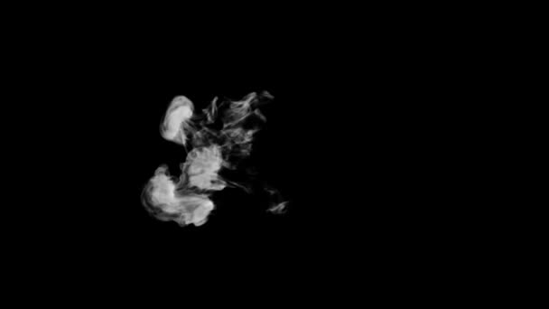 Typografia Animowanego Dymu Kręconą Czcionką Kanałem Alfa Wznoszącym Się Tworząc — Wideo stockowe