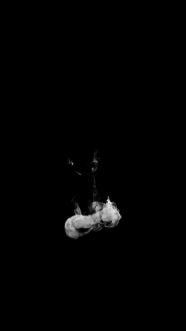 Typographie animée de fumée 3D en police bouclée avec canal alpha montant formant une lettre et continuant à élever le caractère L 